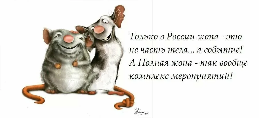 Где наша не пропадала. Афоризмы про жизнь смешные. Прикольные афоризмы про жизнь смешные. Высказывания про пятницу. Смешные картинки про жизнь