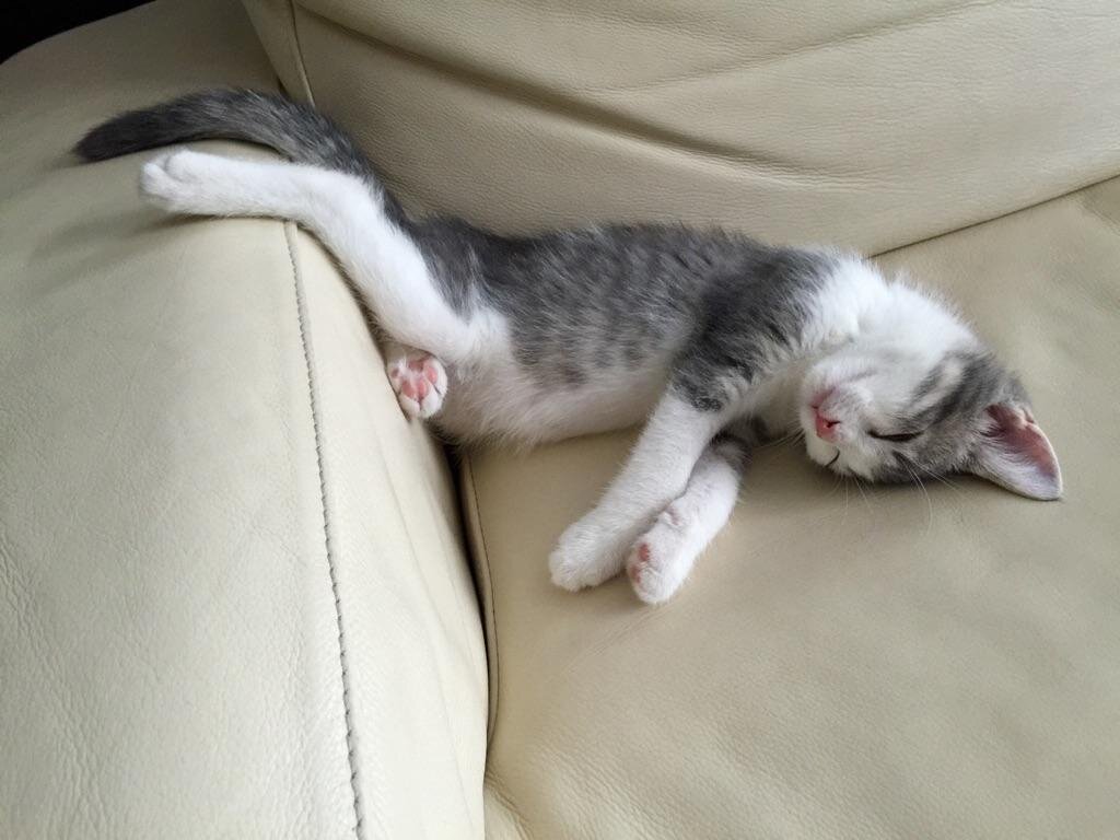 картинка с сайта: ne-kurim.ru