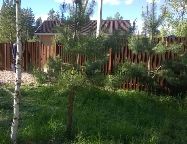 Вид изнутри на фасадную (лицевую) часть участка