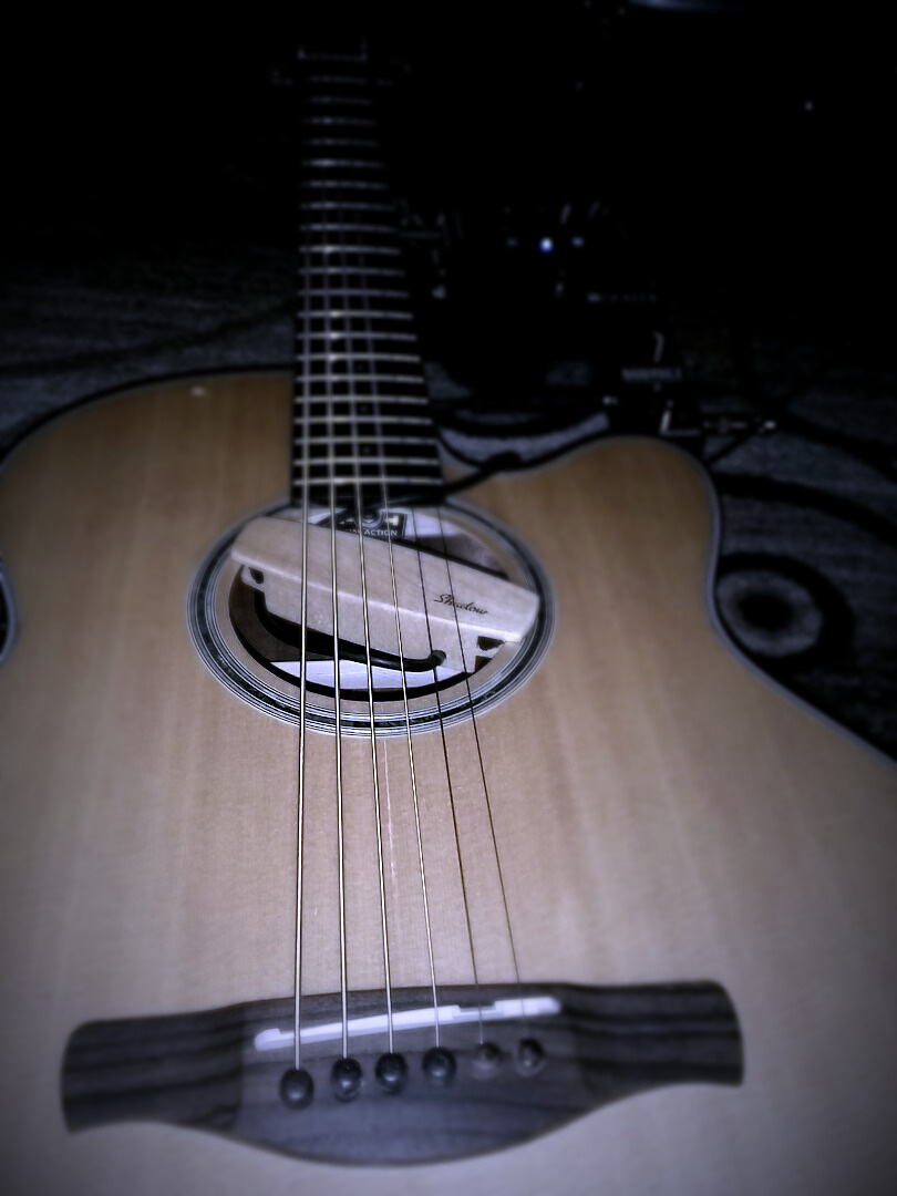 Редкий зверь - акустический баритон