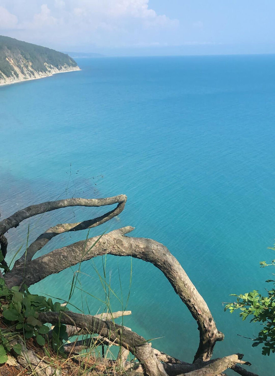 Погода в бетте краснодарский край. Бетта Краснодарский край. Курорт Бетта Краснодарский край. Новороссийск Бетта. Храм Бетта Краснодарский край.