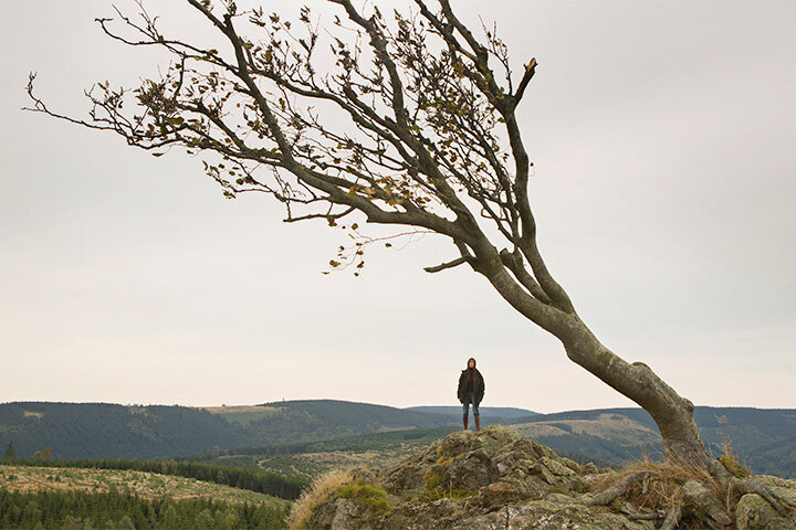 «Нимфоманка» 'Nymphomaniac'
(2013) 
Жанр: драма, исследование эротизма. 
Режиссёр: Ларс фон Триер. 
Рейтинг: 75% на Rotten Tomaten

Героиня фильма Джо (Шарлотта Генсбур) принципиально ведёт асоциальный образ жизни, под воздействием захватившей ее с детства сексуальной мании. Её жестоко избивают. Окровавленное тело Джо мы видим на улице под, разрывающую идиллическое созерцание мира в стиле Тарковского, песню "Rammstein" — таковы первые кадры фильма «Нимфоманка». 
К счастью героини, в это время мимо проходил сердобольный интеллигент Селигман (Стеллан Скарсгорд), который, конечно, проявил участие к бедной женщине. Однако, после просмотра фильма у меня напрашивается вывод,  что Селигман – и был её тайным демоном, духовным куратором, воплощенный в  таком, полностью противоположным ей, человеческом носителе. 

Практически весь фильм – развёрнутая беседа между Джо и Селигманом, значительную часть которой составляют воспоминания героини и оценка её жизненного пути, а также – теоретические выкладки философа Селигмана. В интерьере помещения, где происходит разговор, важную роль играет висящая на стене православная икона Одигитрия (Путеводительница, она же языческая Ариадна в адском лабиринте сознания нимфоманки Джо), изображающая Богородицу. Фильм, как это часто бывает у Триера, поделён на главы. Одна из них называется "Глава шестая — «Восточная и Западная церкви (Немая утка)»". Так что идейная насыщенность кинокартины не только не скрывается автором, но явно и прямо включается в ткань повествования (в следующем своём фильме «Дом, который построил Джек» эта философская документальность  будет доведена уже Триером до предела). 

Героиню фильма тревожит зависимость от сексуальной страсти, которая довела её до полного душевного истощения и  совершенно разрушила её жизнь. А ведь кроме этой страсти, у Джо была также и любовь, которую она встретила ещё в детстве - Джером (Шайа Лабаф) - и он стал её мужем, они родили ребёнка. Но её нимфомания всё это разрушила, превратив любовь Джерома в ненависть и презрение. 

На первый взгляд кажется, что интеллектуал Селигман своим пристальным анализом и поучениями помогает ей тщательно осознать всё случившееся и найти выход. Казалось бы - неплохо. Но к концу фильма Джо поняла, с кем имеет дело: этот человек, как ни странно, — олицетворение как раз той невидимой силы, которая цепко вела её по пути гибельной мании. И когда Джо убедилась в лицемерной, демонической сущности Селигмана, то героиня фильма убивает «благодетеля». И в этот момент финала фильма, мне очевидно, что Джо освободилась от своей мании,  покинула клетку, где сидела всю жизнь, как её карликовый хомячок.

Интересно, что незадолго до своего прозрения, анализируя свои корни, своих родителей, Джо  начинает понимать, как семья повлияла на её судьбу. Мы видим мать (Конни Нильсен), «холодную суку» и очень хорошего, почти идеального отца (Кристиан Слэйтер). Отец,  представляет собой полную противоположность матери: он – чуткий, ранимый,  любящий. Он много проводит времени с дочерью, рассказывает ей о деревьях, учит понимать и любить природу, её красоту. Но далее, во время предсмертной болезни,  мы видим его абсолютно беспомощным перед болью и смертью - от которых не спасёт никакая природа и красота.. На деле оказывается, что её отец – блаженненький христианин (наподобие , высокочтимого Триером Тарковского). Недаром он столько говорит о ясене, с черными пальцами зимой. Ясень - Древо Жизни в скандинавской мифологии и на нем был распят Один.   Но гностический апокриф от Иоанна о Древе Жизни говорит так: " Корень дерева горек, и ветви его есть смерть, и тень его ненависть... Обман обитает в его листьях, и растет оно во тьму... » — и нет разницы между Одином и И.Х., добрым отцом и холодной сукой матерью. Селигман - Минотавр, на котором восседает Великая Блудница. Он и есть "Совершенный Рыболов" (любимая его книга в детстве), который вёл героиню по лабиринту, держа на крючке её страсти. Он — тот зеркально противоположный двойник, вторая душа в теле, радующийся её горю и умирающий от её радости, о чем и поет Rammstein ('Führe Mich') в начале фильма.