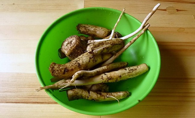 фото: http://last-trend.ru/