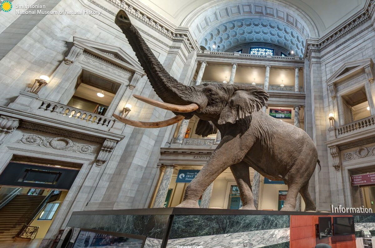 Кадр из виртуальной экскурсии