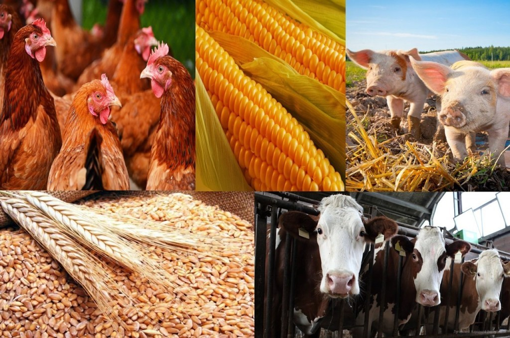 взято с сайта ok.ru