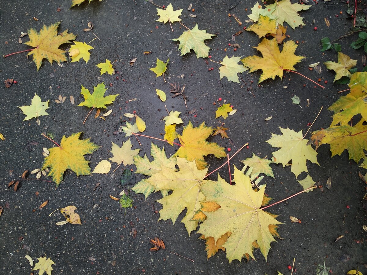 надо же, кажется, эта осень была только вчера, а вон, уже весна за окном... снег идёт... но веснааа)