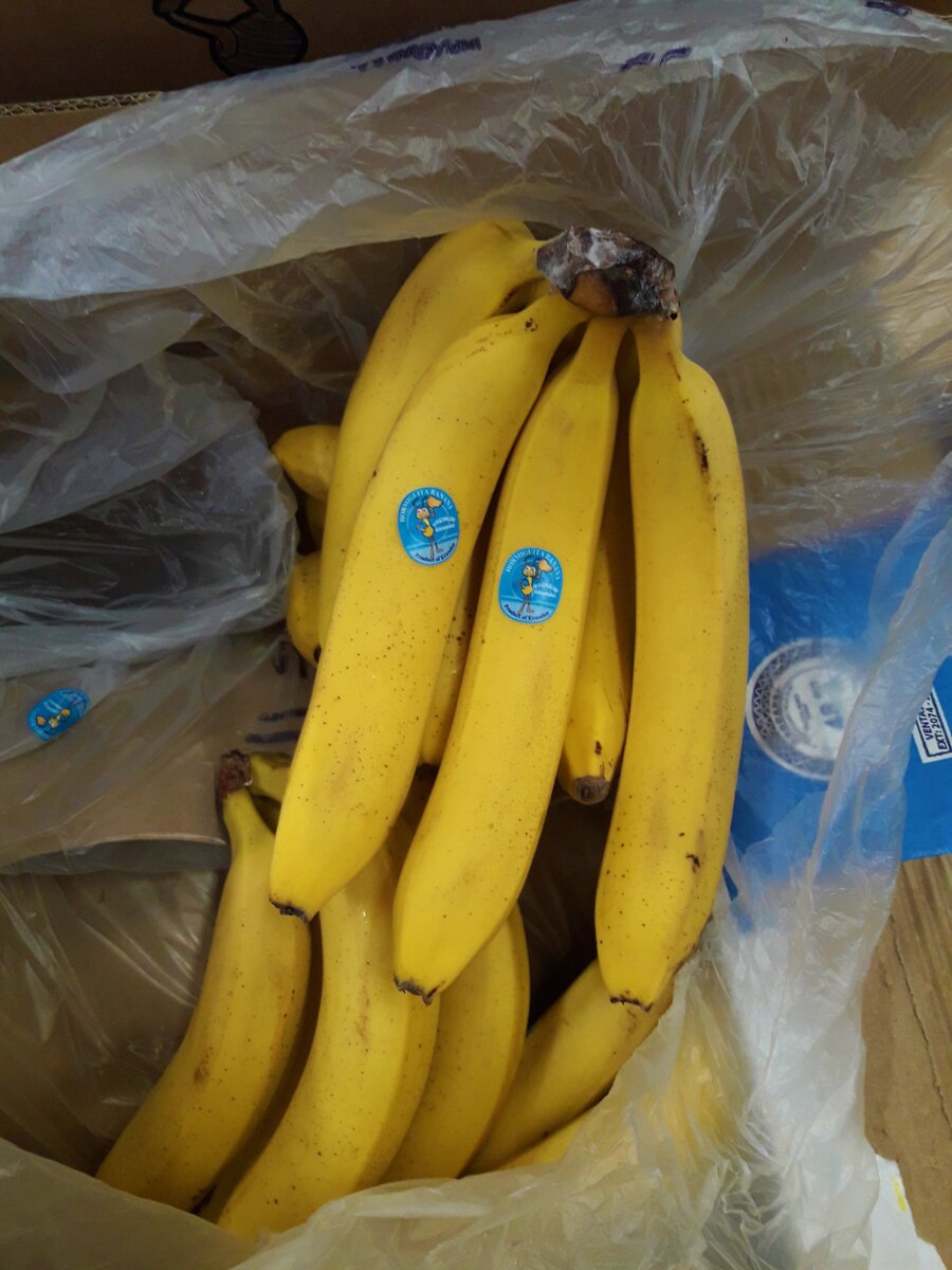Кто-то разбирает туалетную бумагу, а у нас в «Победе» идут на ура бананы за 64 рубля 90 копеек, рассказываю почему