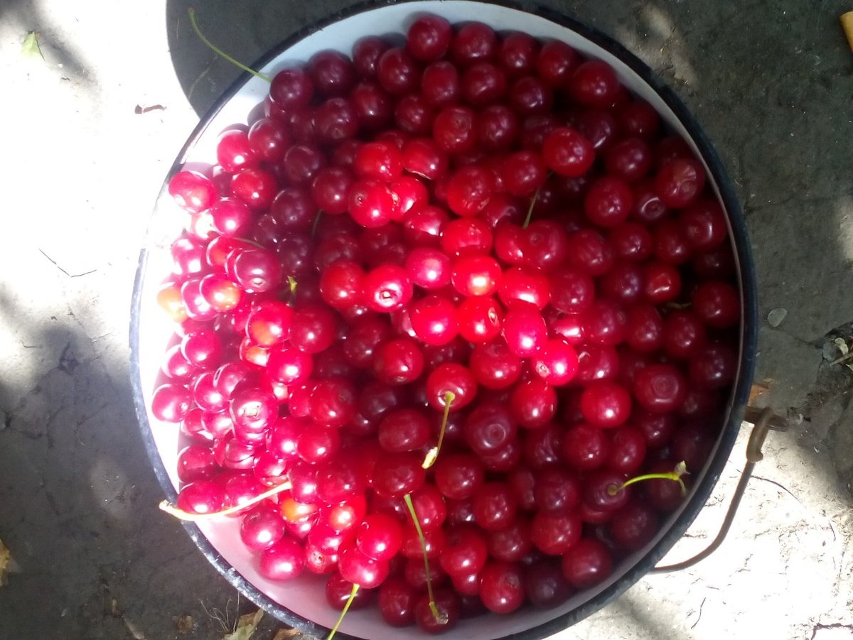 Личное фото