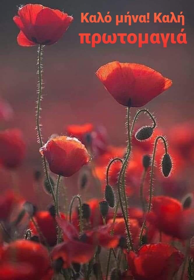 Хорошего месяца. Хорошего первого мая. Греческая открытка. Фото из открытых источников