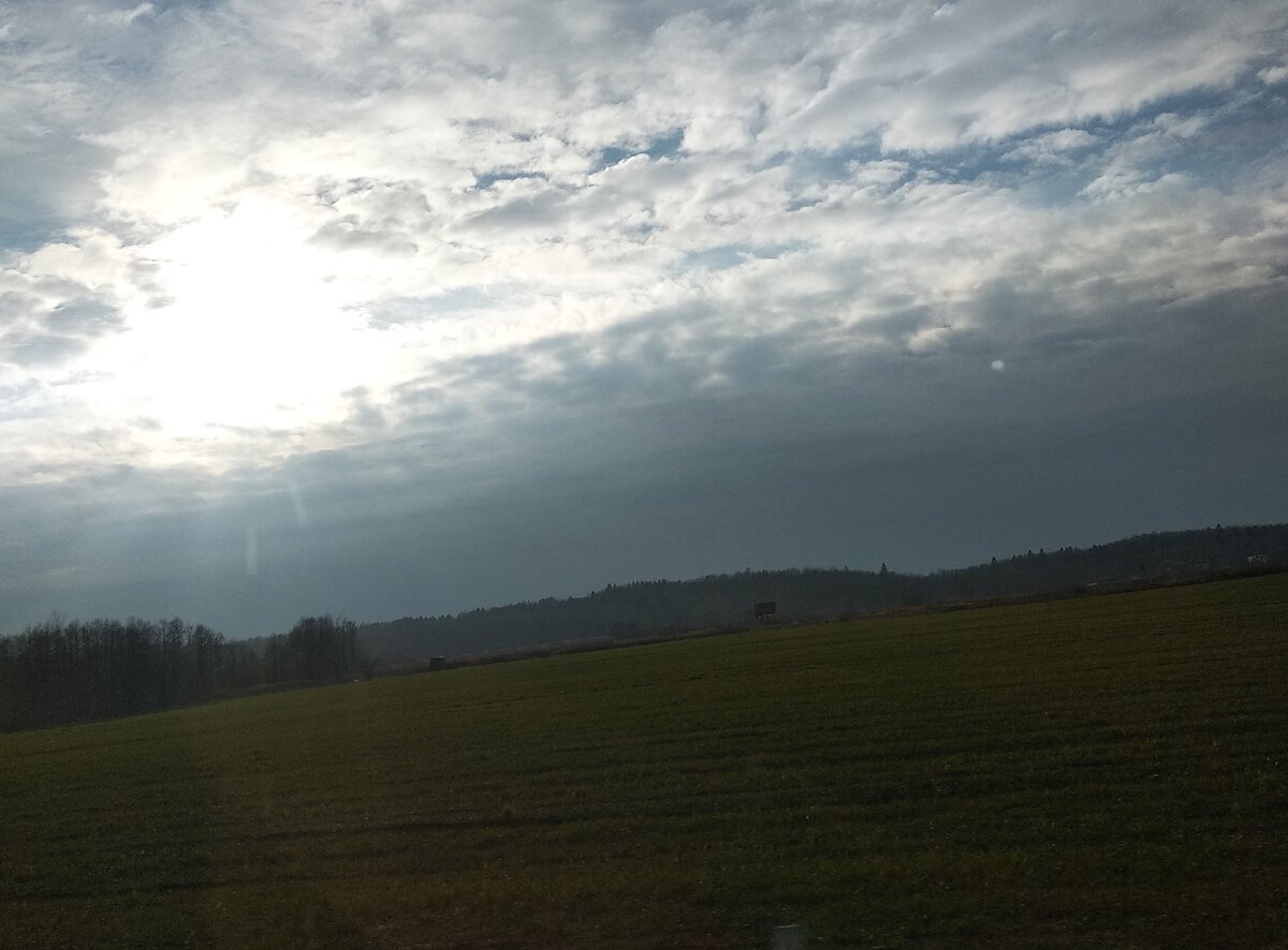 Чтобы узнать новые истории Василия - подпишитесь! 