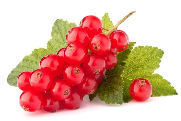   Смородина красная не слишком привередлива, ее плоды – ценнейший продукт питания, поэтому растение входит в топ популярных ягодных культур.
