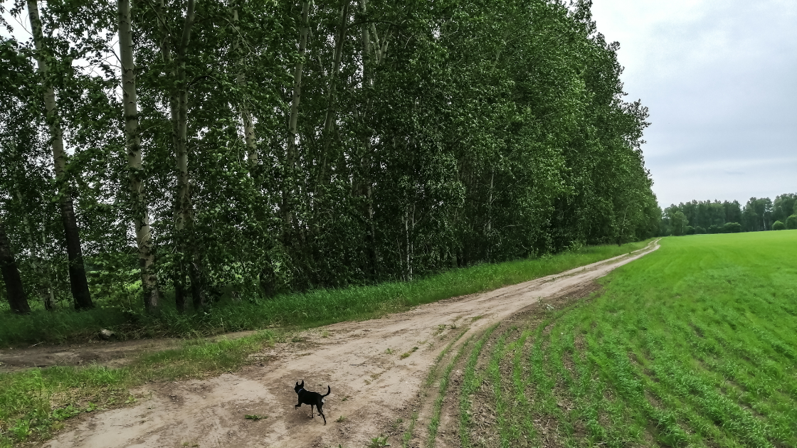 Лайк и подписка помогут развитию канала. Спасибо