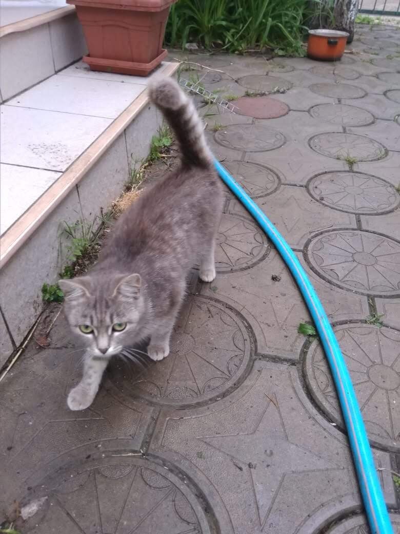 Наш чистюля