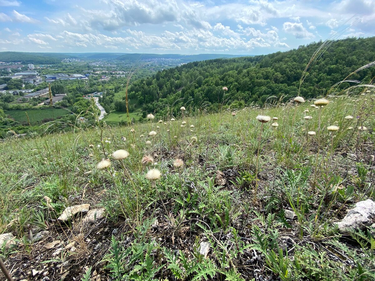 Прауль гора Николаевская