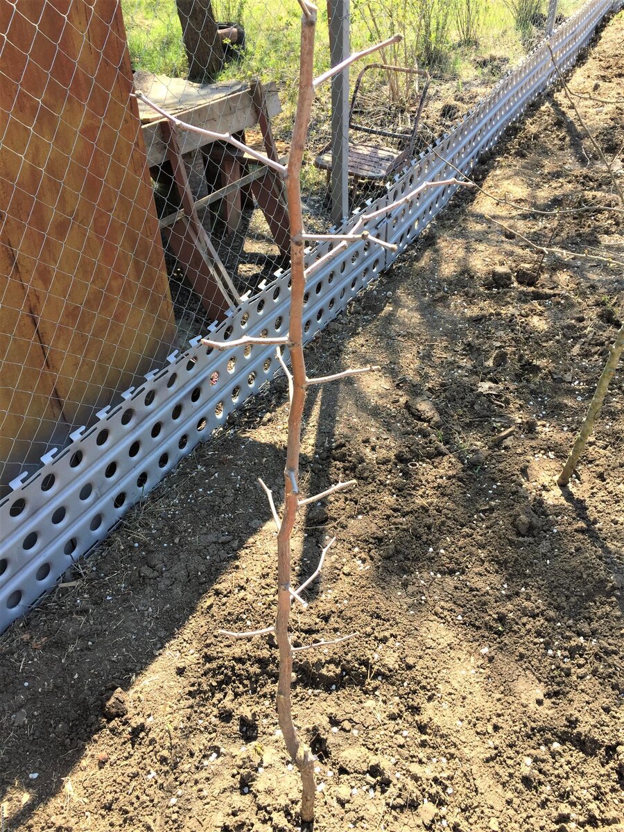 Фото из личного архива. Это сразу же после посадки.