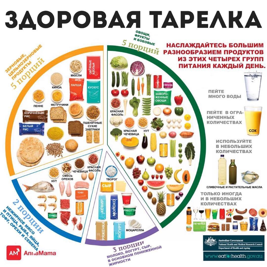 "Здоровая тарелка" с сайта www.annamama.ru