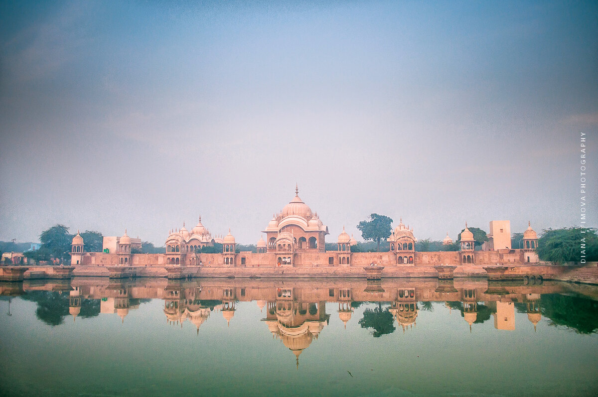 Dog Temple India