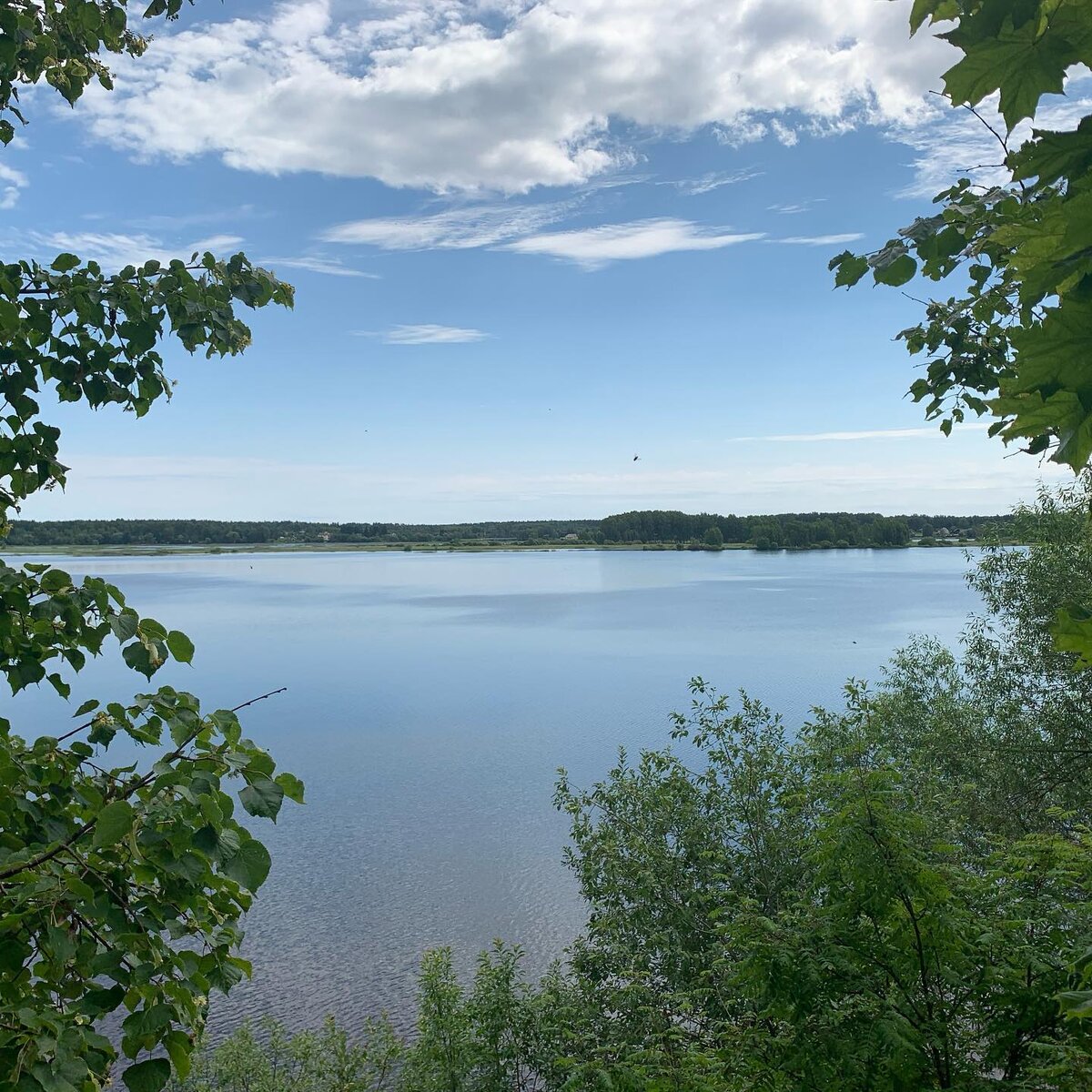 Вид на Волгу из усадьбы Кожиных