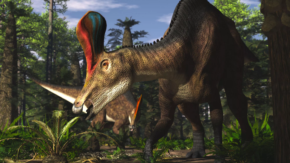 Интересно, а папоротники могут платить налоги? 