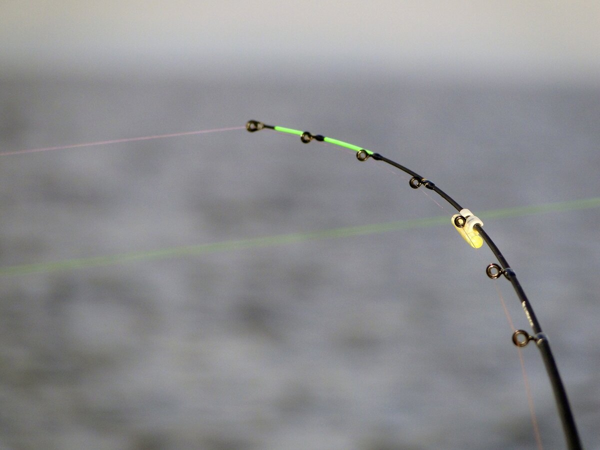 Вот та самая фото и тот самый светлячок, но обо всем попорядку!