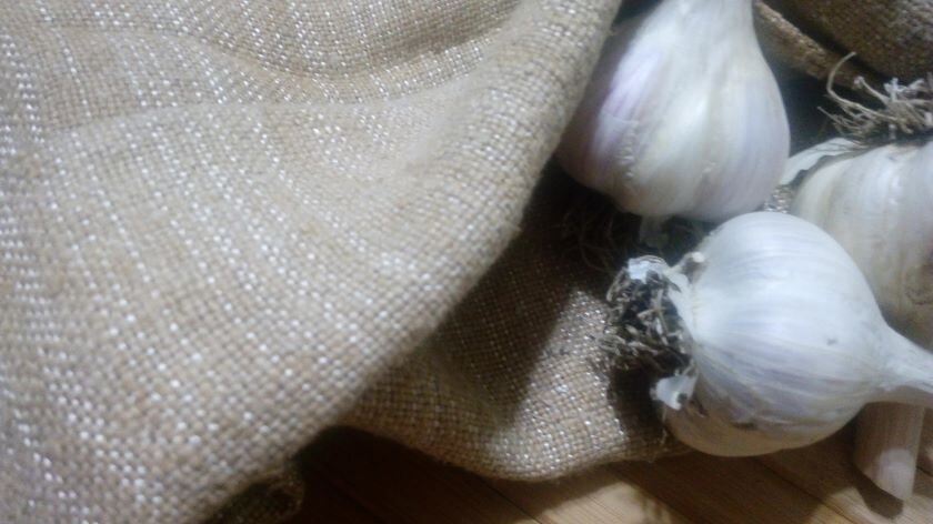 Холщовый мешочек для хранения луковиц. Фото атвора