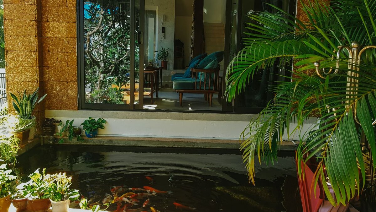 Ку, это мой дом во Вьетаме