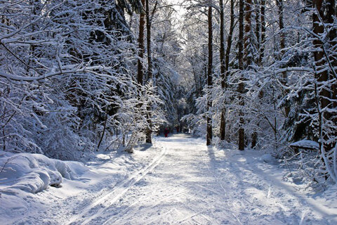 Зима – время совершенно особенных атмосферных фотосессий, будь то съемка под ярким дневным солнцем на фоне сверкающего леса и искрящихся сугробов, под волшебным снегопадом, превращающим любую картинку в сказку, или в синих сумерках с живыми свечами или новогодними гирляндами… Собирайте всех родных и друзей, выбирайте самые яркие шарфы и варежки, наряжайтесь в пушистые шубки и пестрые пуховики, берите в руки кружки с дымящимся какао и расписные имбирные пряники, заранее присматривайте антураж вроде уютной таинственной лесной опушки или бескрайних заснеженных холмистых просторов – и вперед