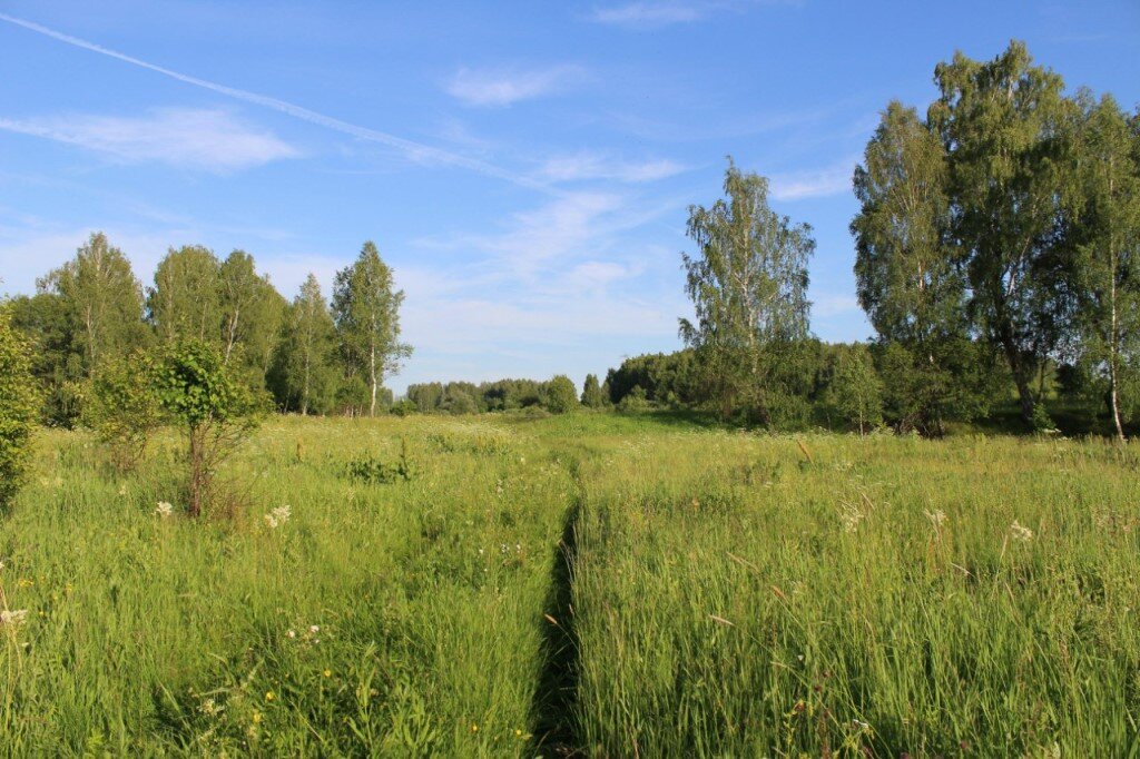 Земля сельхозназначения в московской области