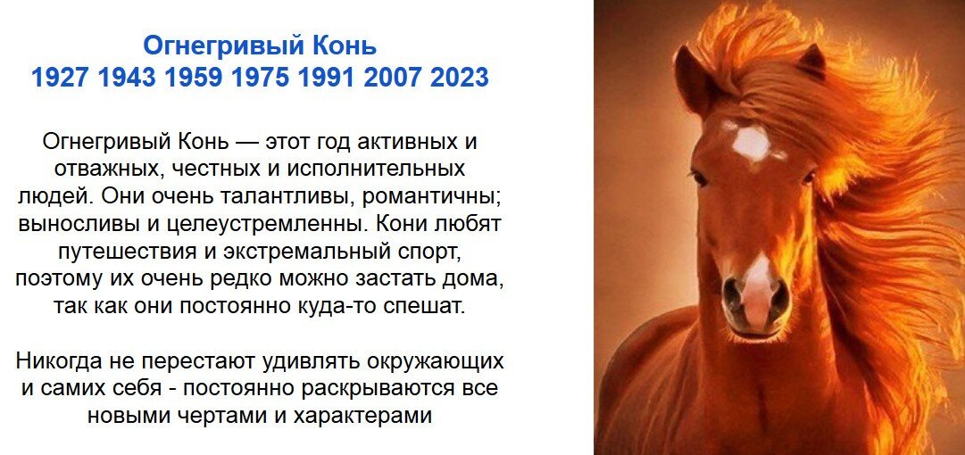 2023 год кого картинки