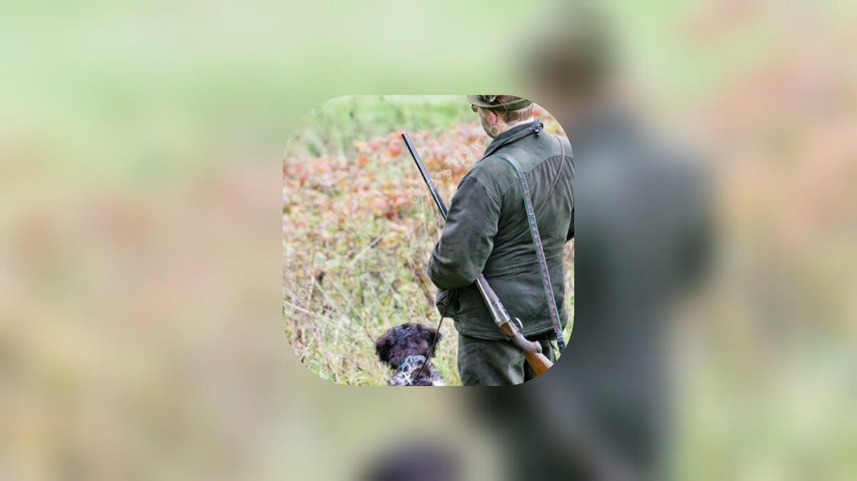 Картинка доступа свободного, автором редактированная