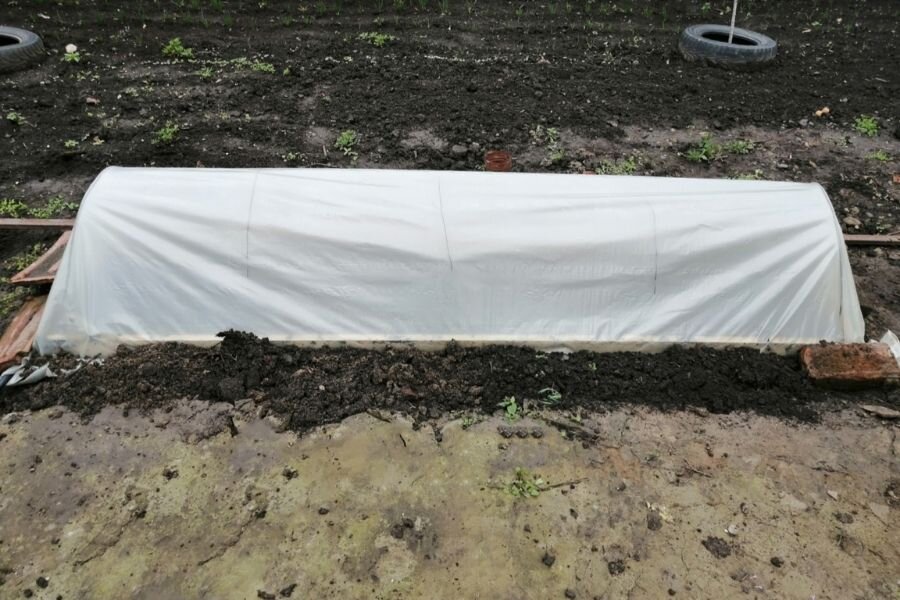 Парник с рассадой. Когда рассада подрастет, днем парник будет теща открывать