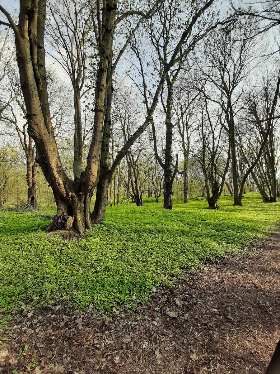 Фото автора.