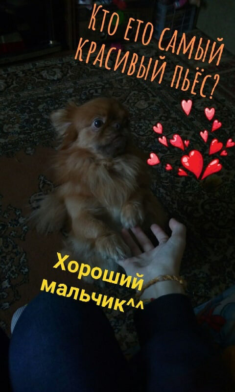 Мартин и Тихон