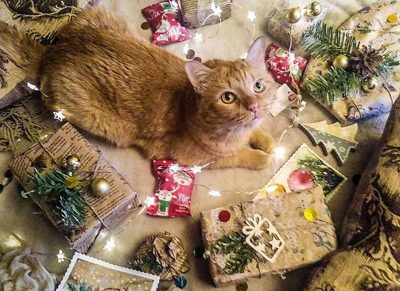 фото Аси Волостновой