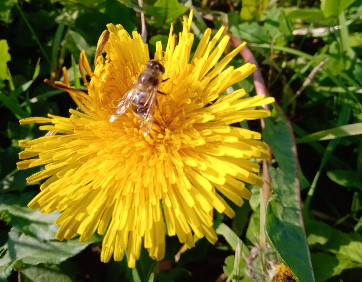 Фотография из личного архива 