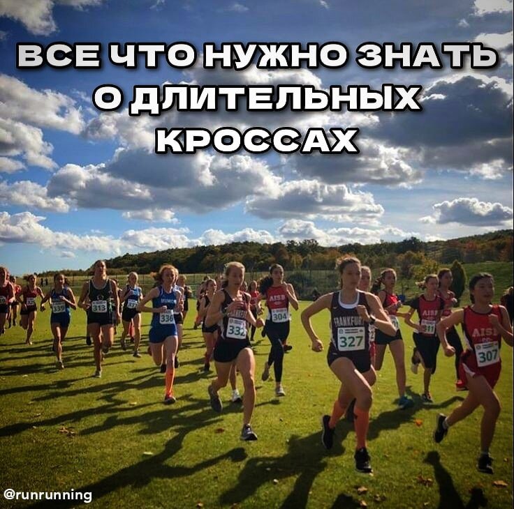 Длительный кроссовый бег