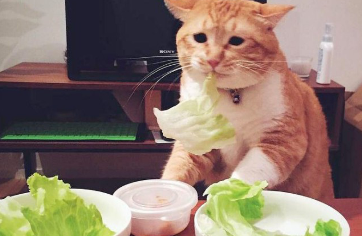 Любое ограничение в диете только увеличивает риск срыва. 