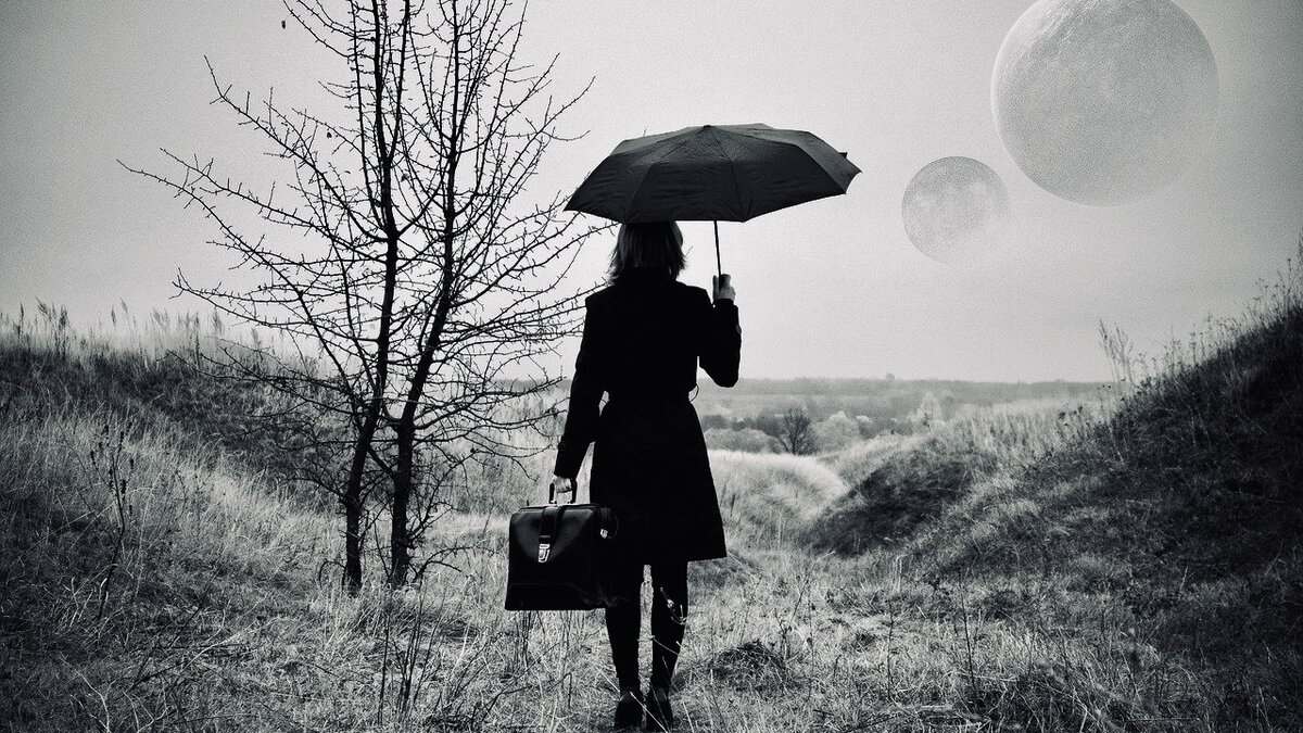 Яндекс Картинки