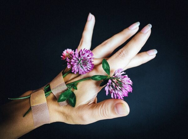    Фото: pixabay.com