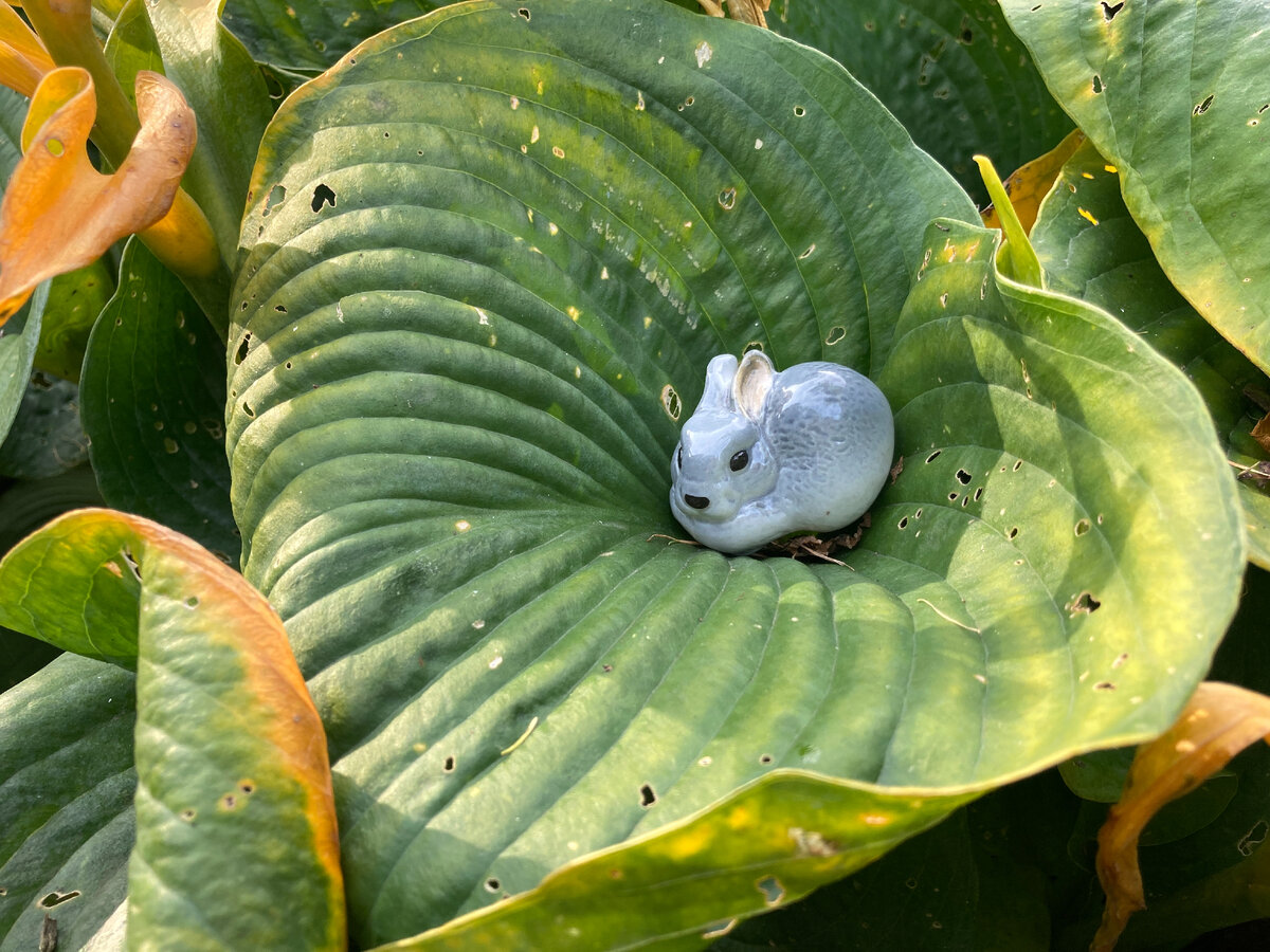 Фарфоровый винтажный заяц из коллекции-зайчатника автора