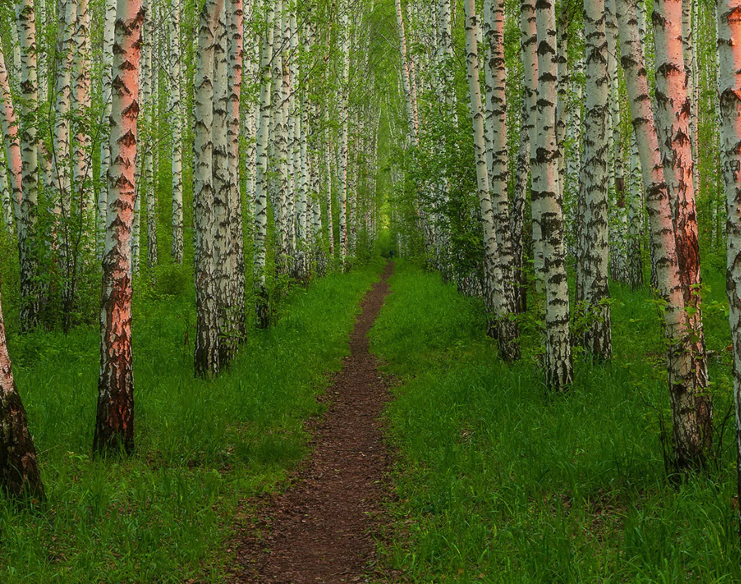 Яндекс картинки