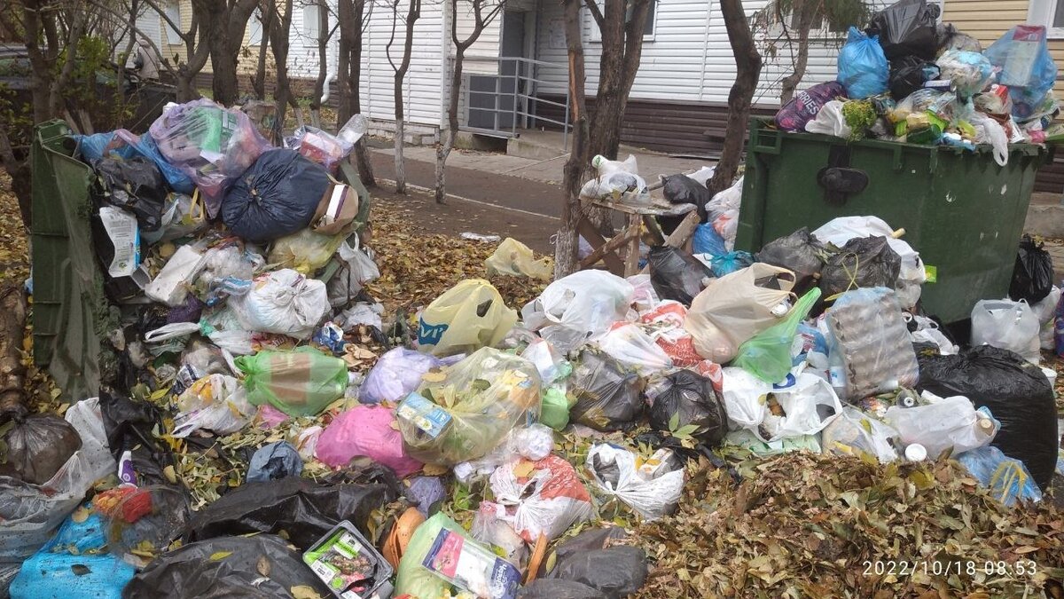     Жительница «Нефтяников» написала Оксане Фадиной о некачественной, на ее взгляд, работе регоператора по вывозу мусора.