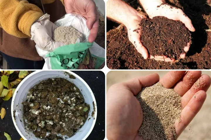 Фотография взята из источника sovet.boltai.com