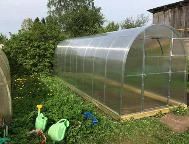 Фотография взята из источника vosadu-li-vogorode.ru