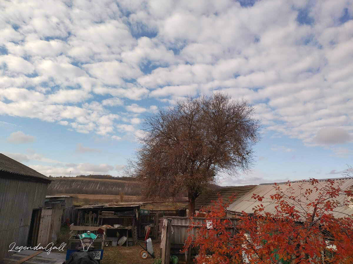 А там, за ёжиком, над горкой, уже чистое небо