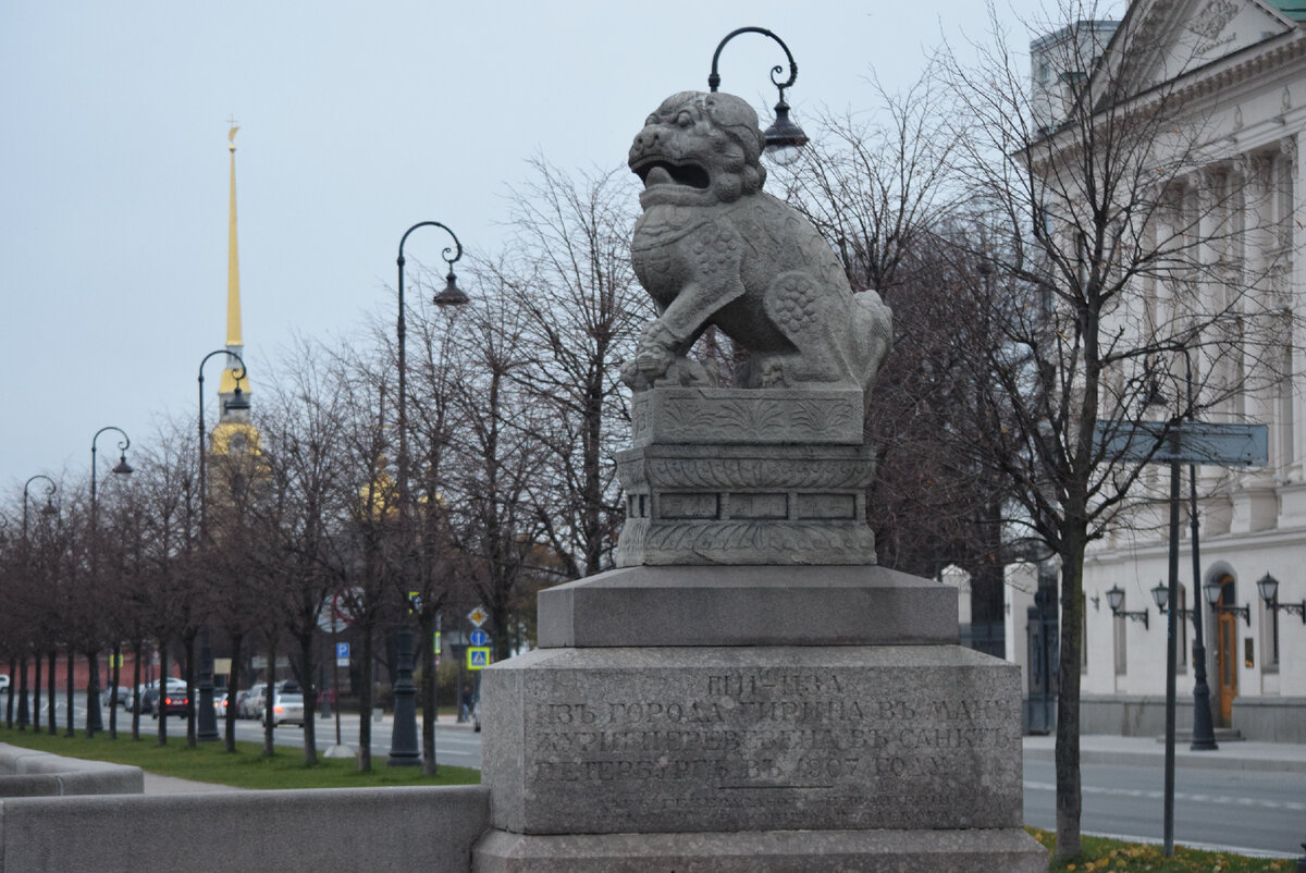 Львица с львенком