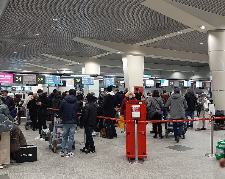 регистрация на рейс в Домодедово