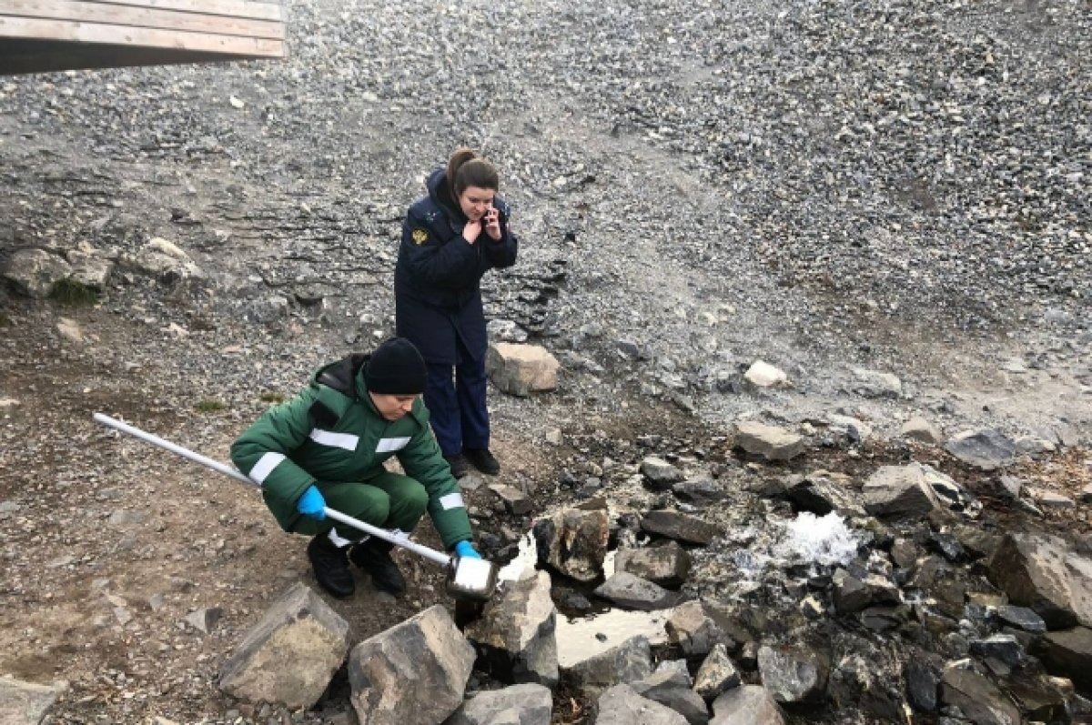    Специалисты ЦЛАТИ по Енисейскому региону отобрали в четырёх точках пробы воды, чтобы установить превышение допустимых концентраций загрязняющих веществ.