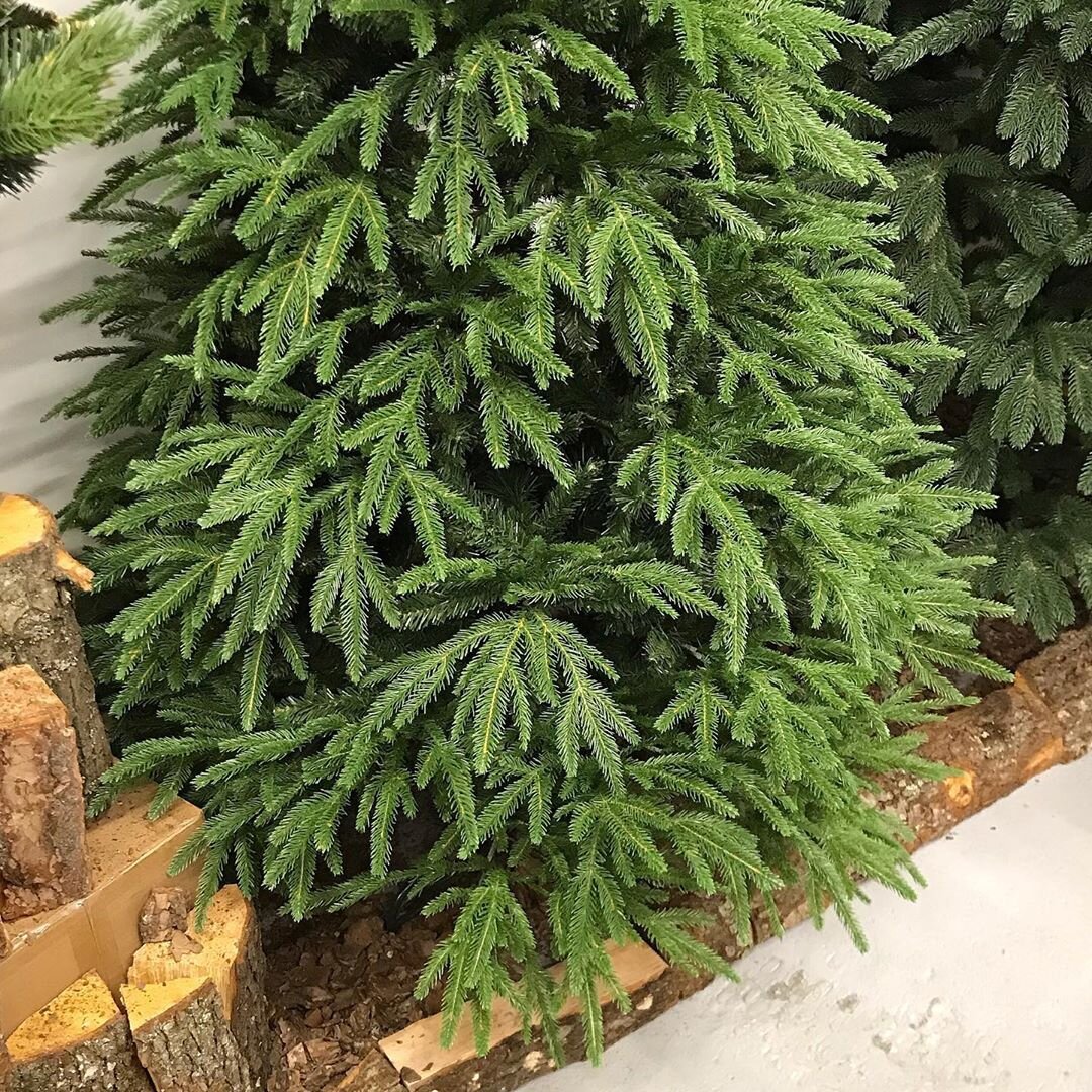 Аккуратные зеленые веточки 