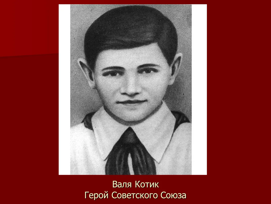 котик герой советского союза. котик герой советского союза. котик герой советского союза.